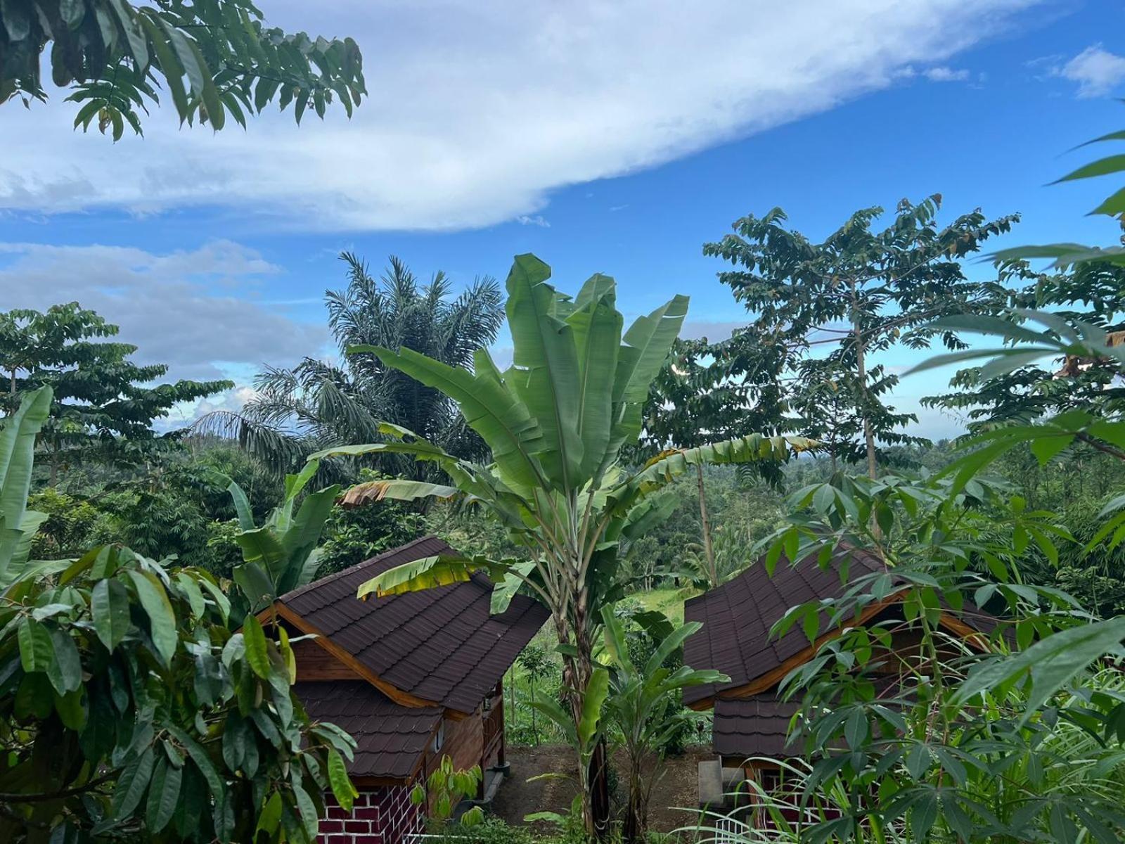 Serenity Lodge Tetebatu Lombok Εξωτερικό φωτογραφία